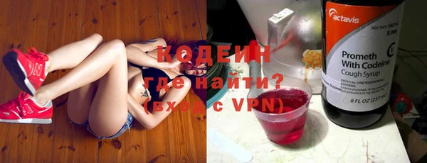 индика Баксан