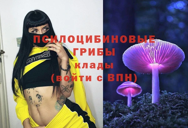 гидра Балахна