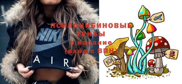 каннабис Арсеньев