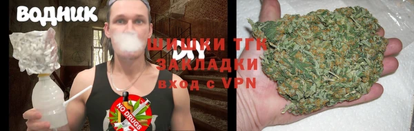 индика Баксан